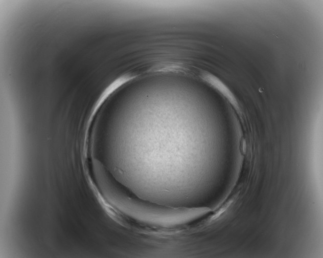 X0000086261050200704051258