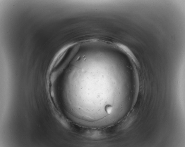 X0000086261051200704051258