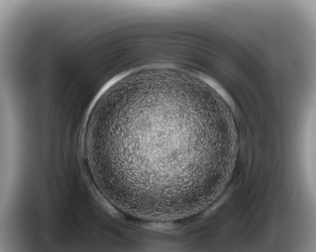 X0000086261052200704051258