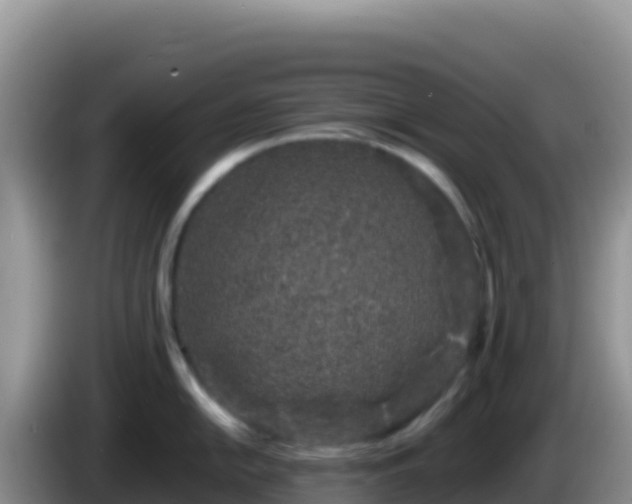 X0000086261054200704051258