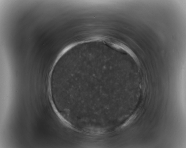 X0000086261055200704051258