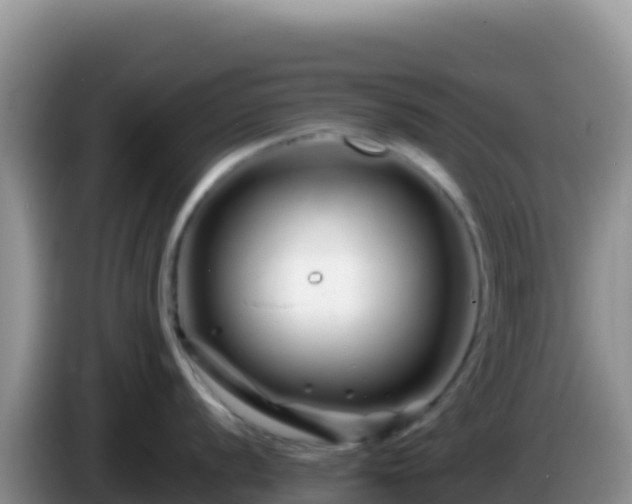 X0000086261056200704051258