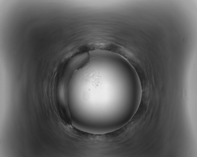 X0000086261058200704051258