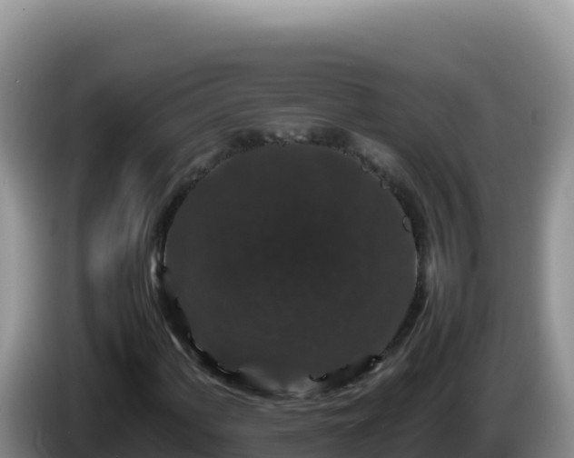 X0000086261060200704051257
