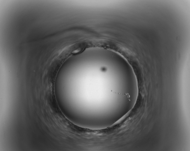 X0000086261061200704051257