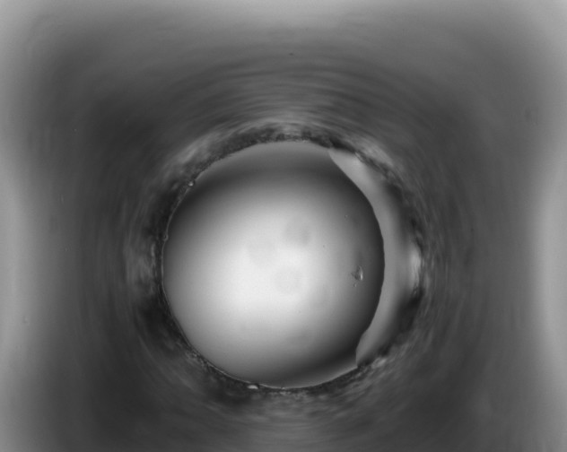 X0000086261062200704051257