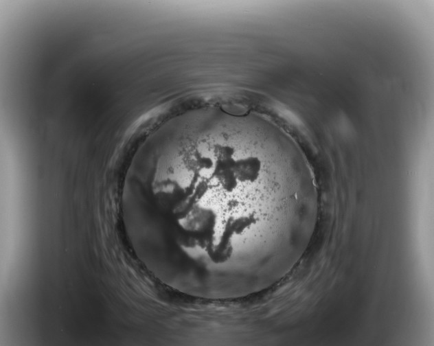 X0000086261063200704051257