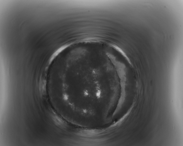 X0000086261066200704051257