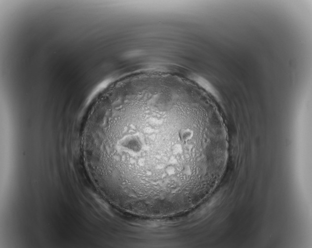 X0000086261067200704051257