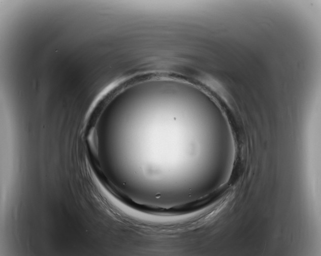 X0000086261069200704051257
