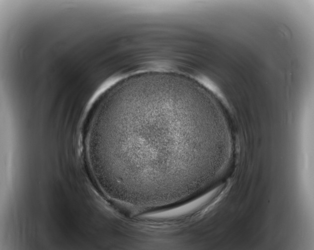 X0000086261070200704051257