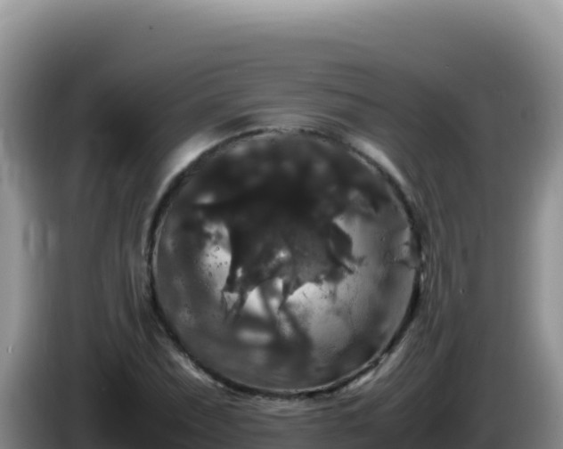 X0000086261071200704051257
