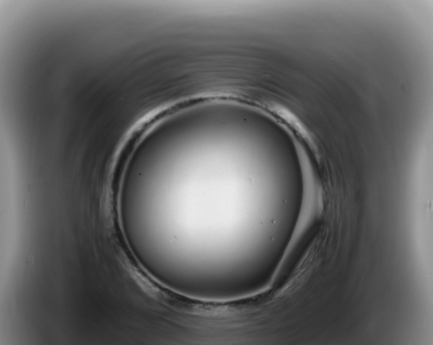 X0000086261072200704051257