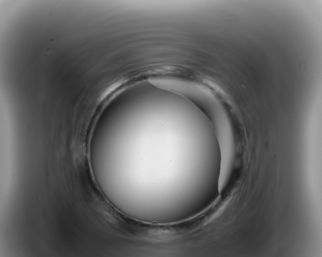 X0000086261073200704051257