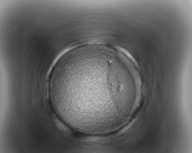 X0000086261075200704051257