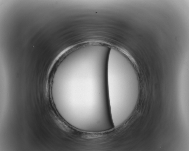 X0000086261076200704051257