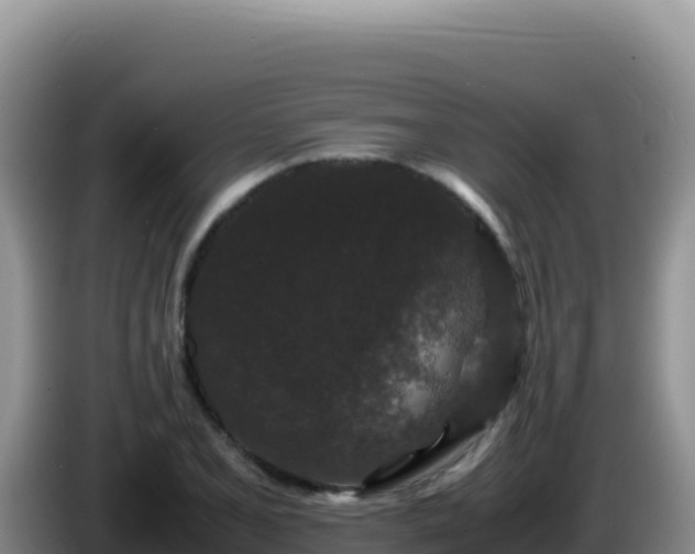 X0000086261077200704051257