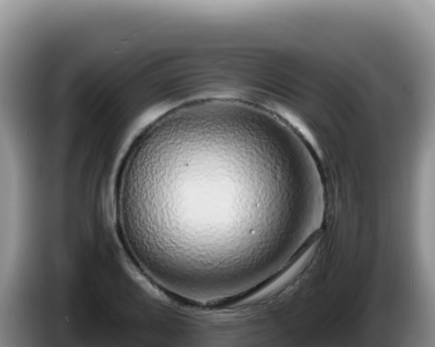 X0000086261080200704051257