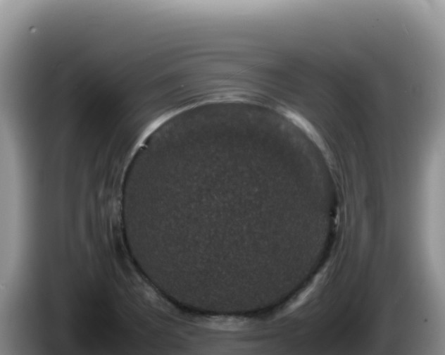 X0000086261081200704051257