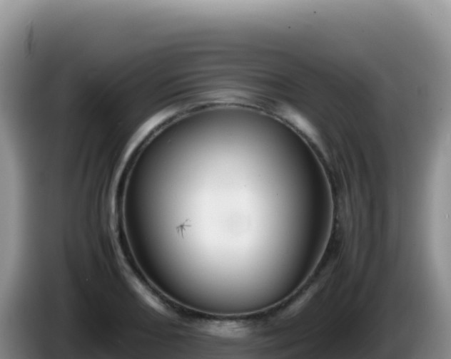 X0000086261082200704051257