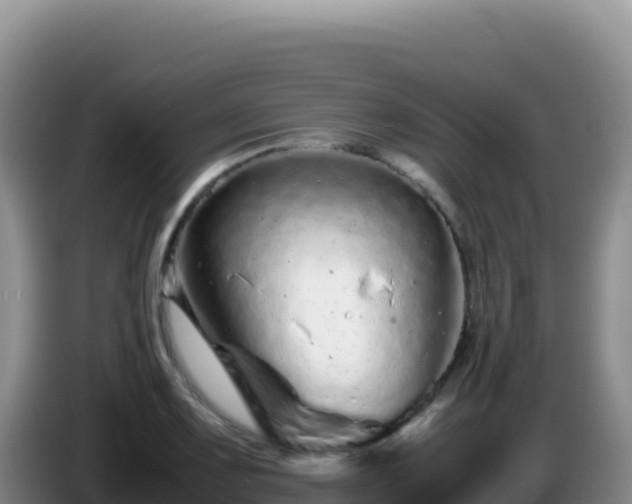 X0000086261083200704051257