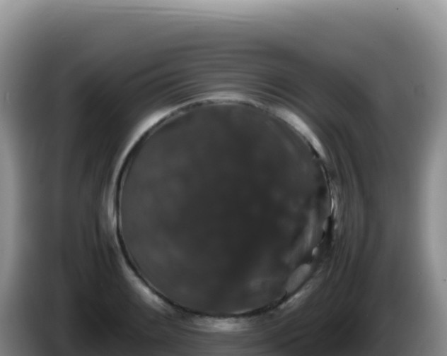 X0000086261084200704051257