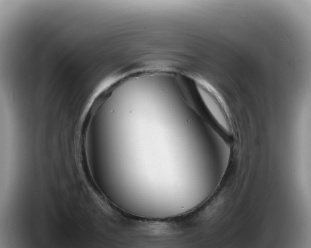 X0000086261085200704051257