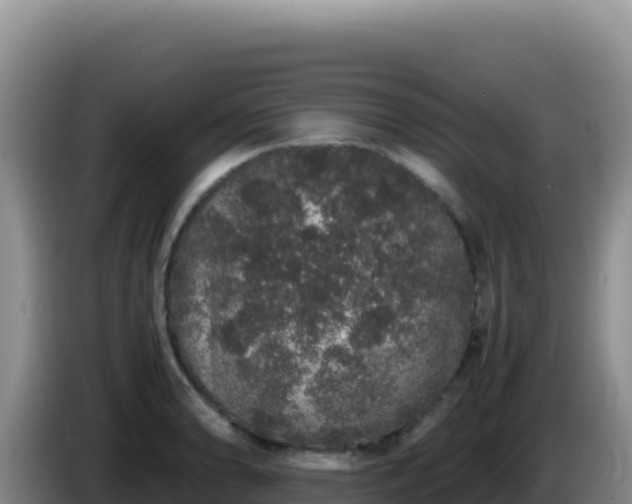 X0000086261086200704051257