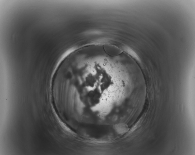 X0000086261087200704051257