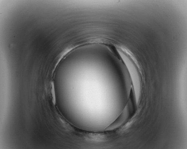 X0000086261089200704051257