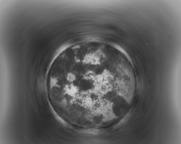 X0000086261090200704051257