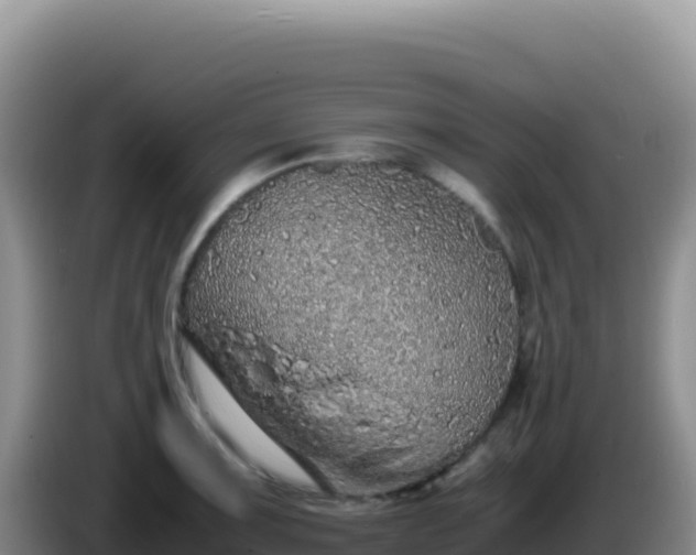 X0000086261091200704051257