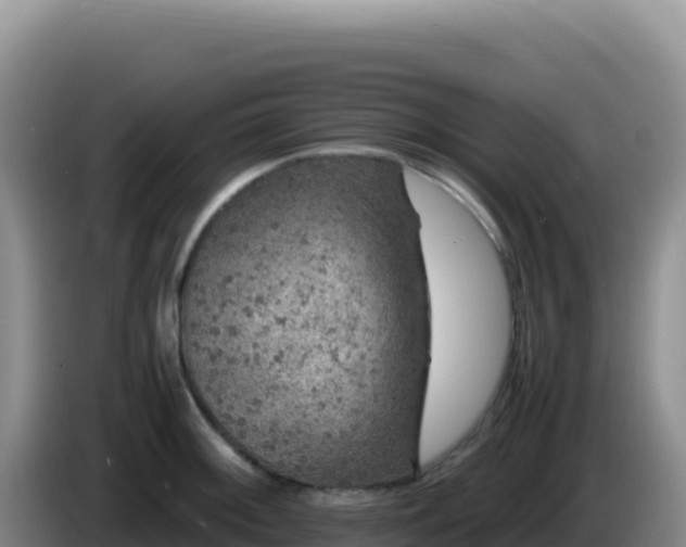 X0000086261092200704051257