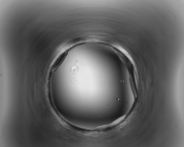 X0000086261093200704051257