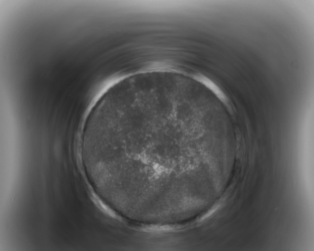 X0000086261094200704051257