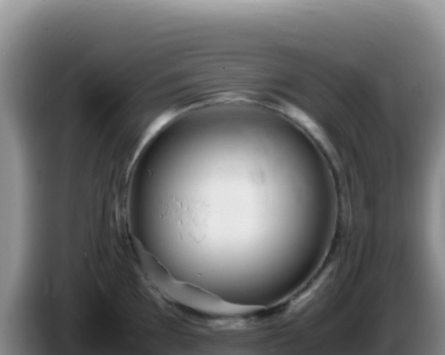 X0000086261097200704051257