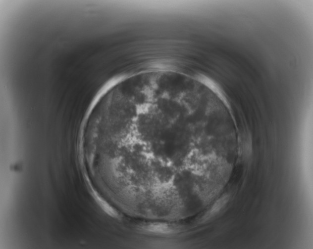 X0000086261098200704051257