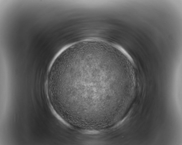 X0000086261100200704051257
