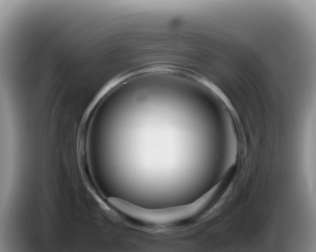 X0000086261101200704051257