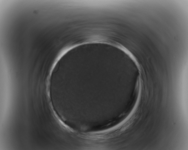X0000086261102200704051257