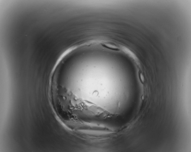 X0000086261103200704051257