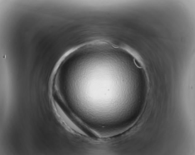 X0000086261104200704051257
