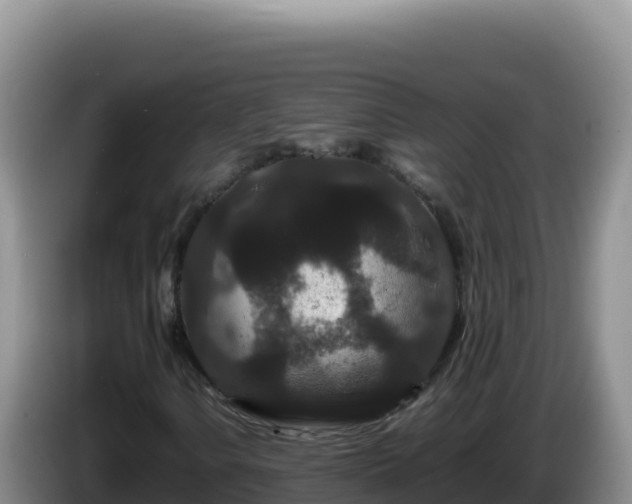 X0000086261106200704051256