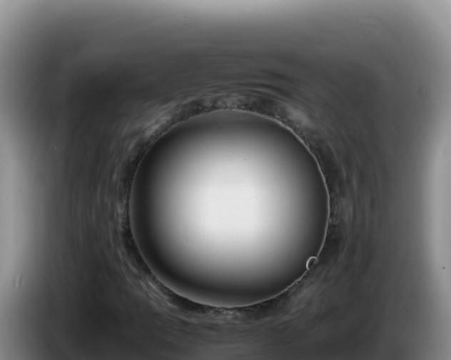 X0000086261109200704051256