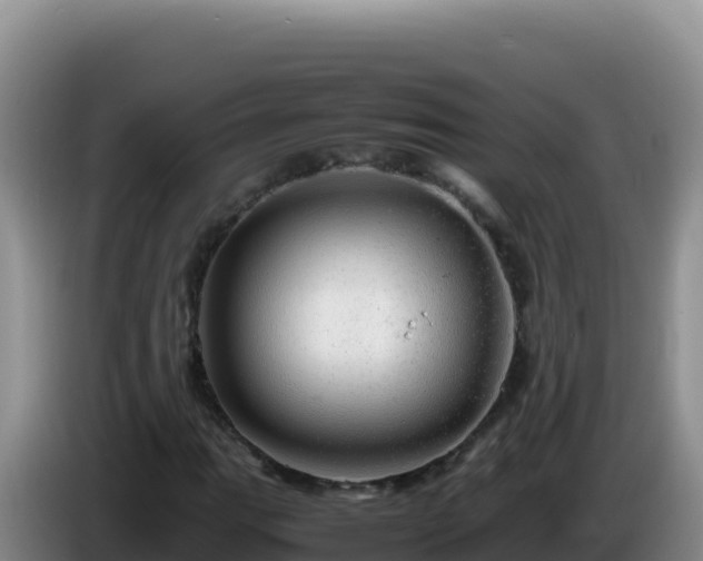X0000086261111200704051256