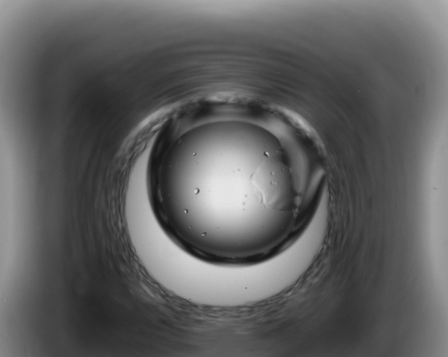 X0000086261112200704051256