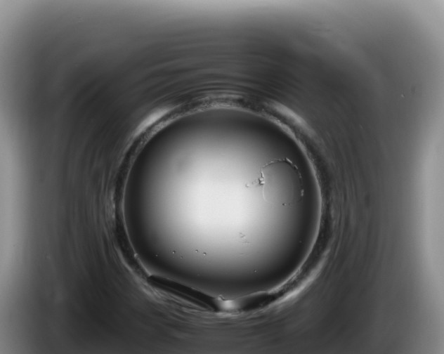 X0000086261113200704051256
