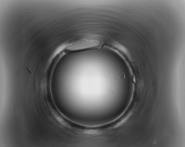 X0000086261114200704051256