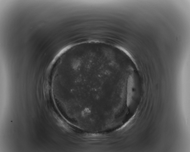 X0000086261115200704051256