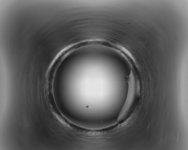 X0000086261116200704051256